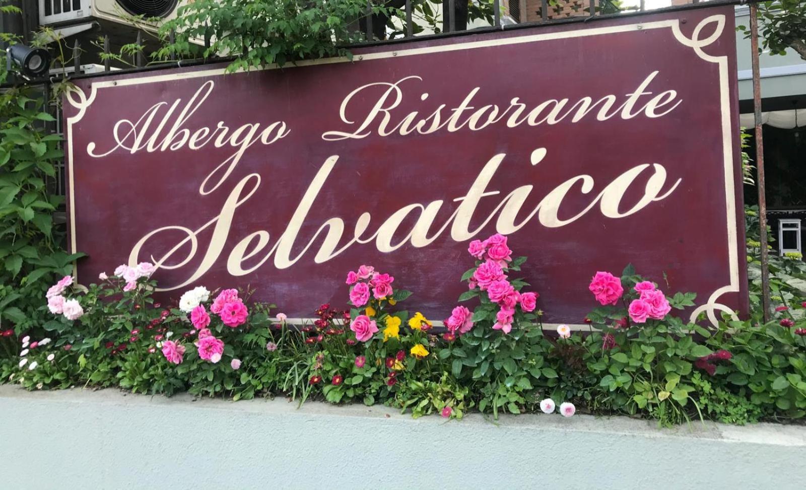 Albergo & Ristorante Selvatico Rivanazzano Terme Εξωτερικό φωτογραφία